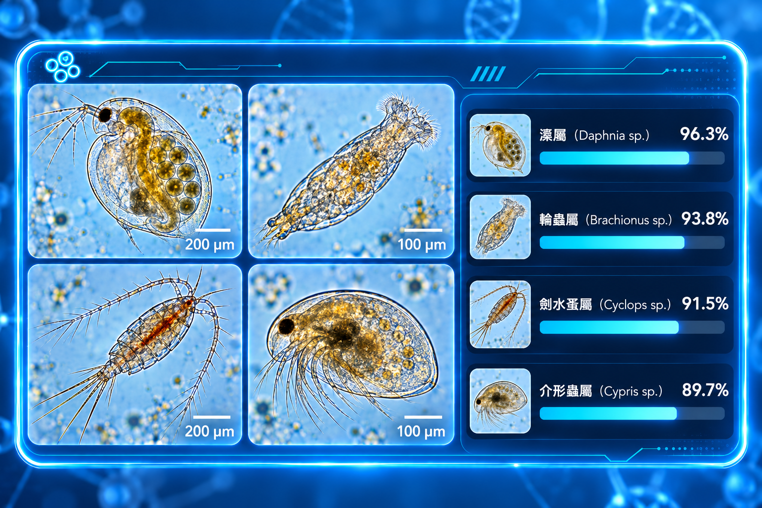 浮游动物
